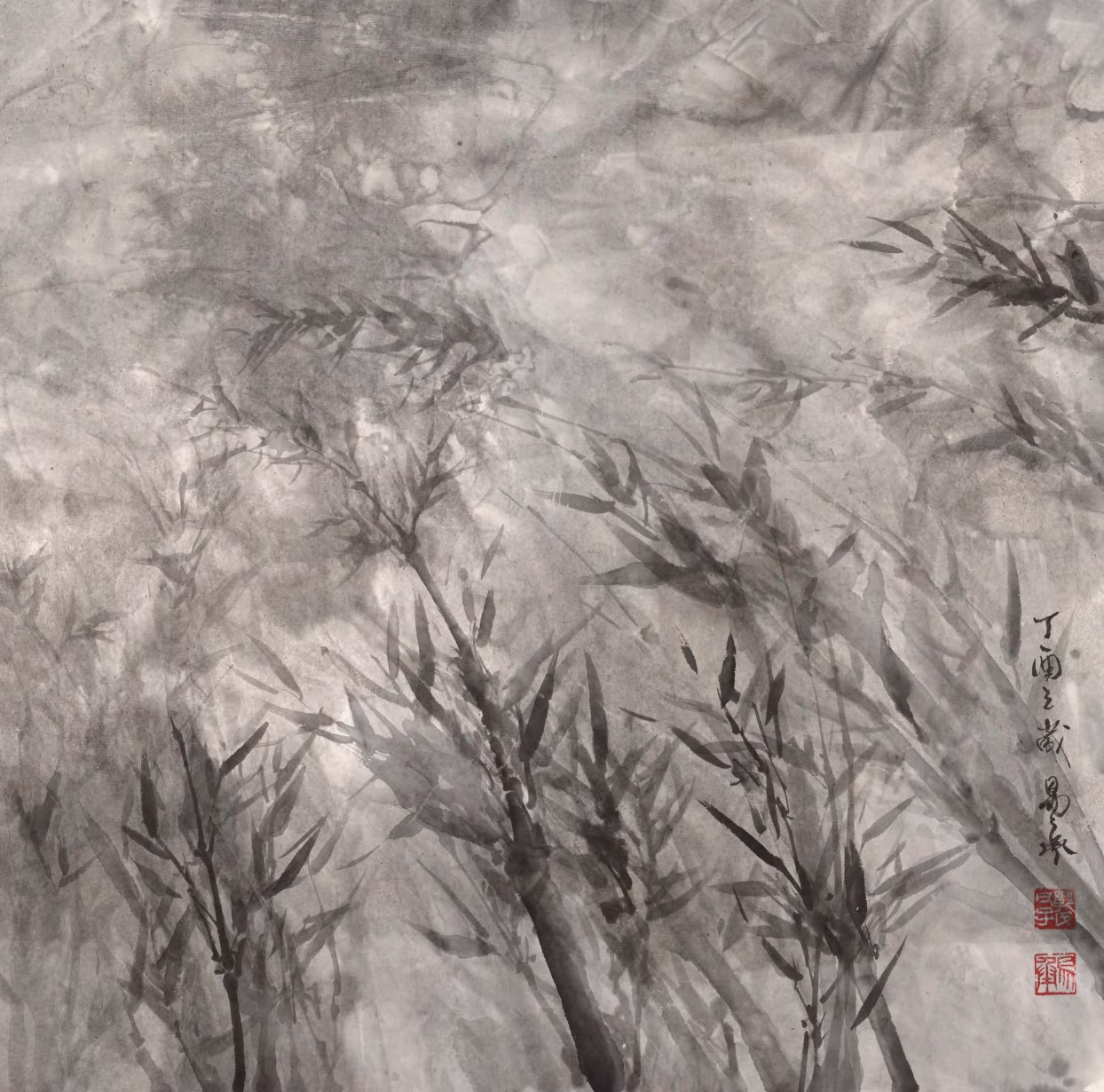 Heavenly Bamboo